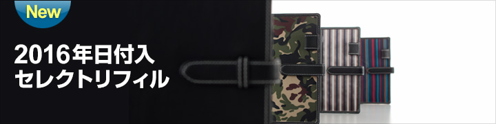 2011�N���t���V�X�e���蒠&���t�B��