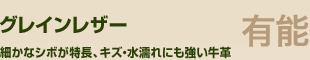 �O���C�����U�[