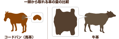 �}�F�ꓪ�������v�̗�