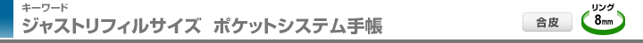 ジャストリフィルサイズ ポケットシステム手帳