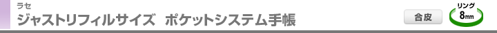 ジャストリフィルサイズ ポケットシステム手帳