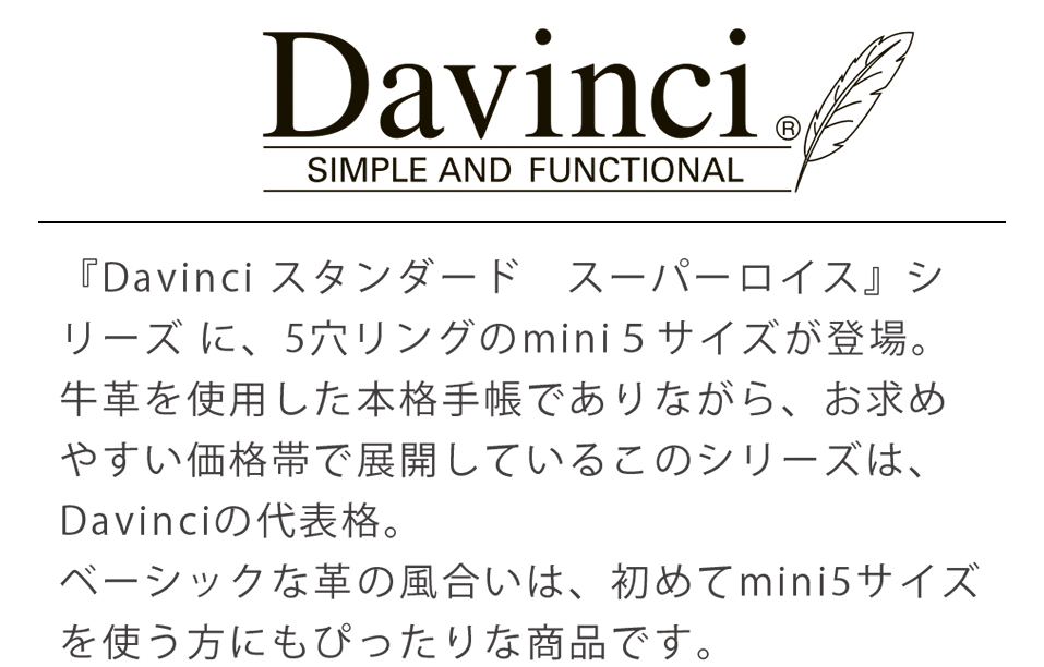 Davinci mini5サイズ