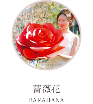 薔薇花