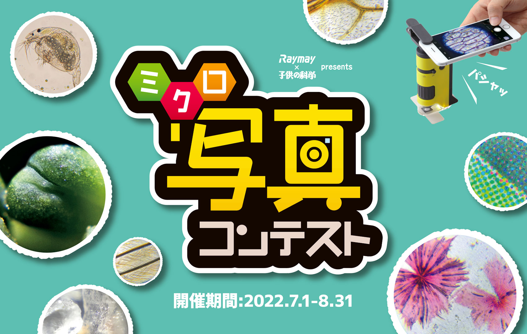 ミクロ写真コンテスト 2022年7月1日~8月31日