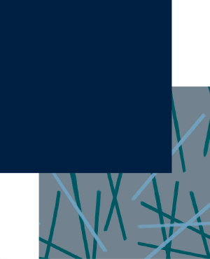 ミッドナイトネイビー