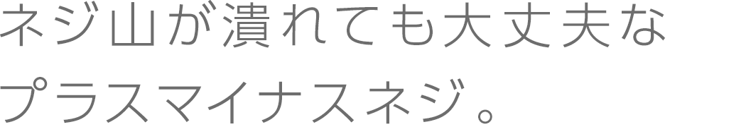 プラスマイナスネジ