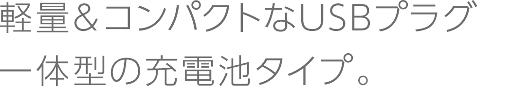 充電池タイプ