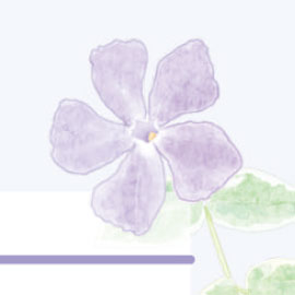 5月