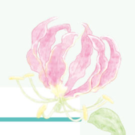8月