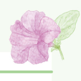 9月
