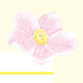 11月