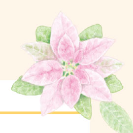 12月