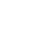 DP