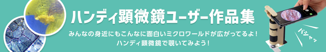 ハンディ顕微鏡ユーザー作品集