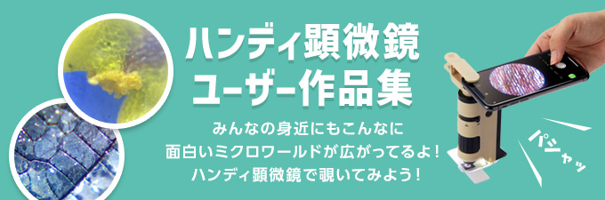 ハンディ顕微鏡ユーザー作品集