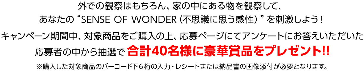 豪華賞品をプレゼント