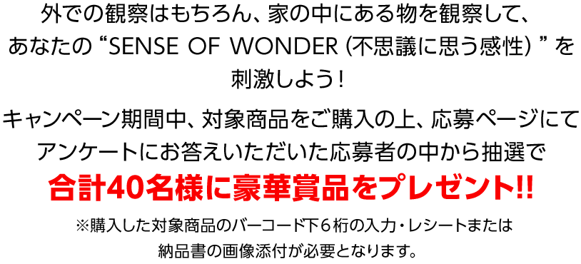 豪華賞品をプレゼント