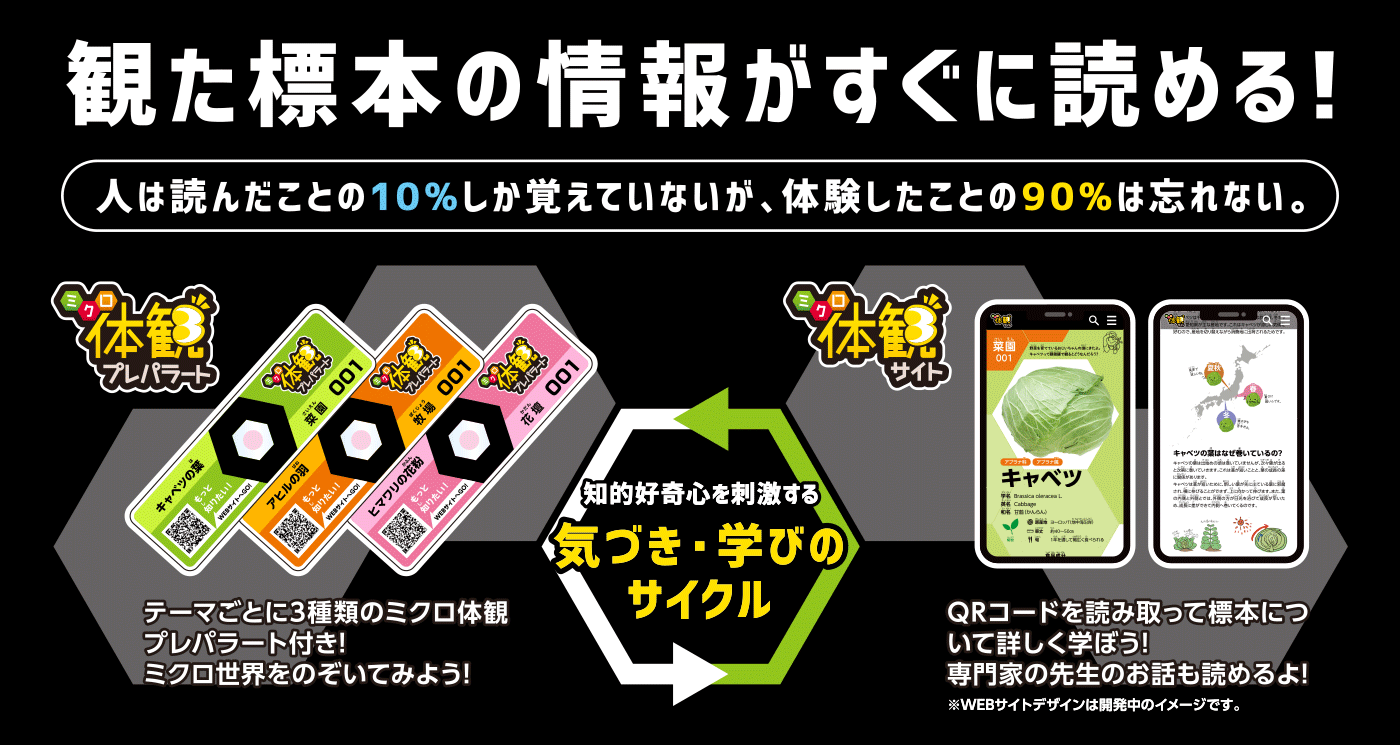 自然学習館 > 顕微鏡 > RXTG3 ハンディ顕微鏡 ZOOM ミクロ体観セット:レイメイ藤井 自然学習館 > 顕微鏡 > RXTG3 ハンディ顕微鏡 ZOOM ミクロ体観セット:レイメイ藤井