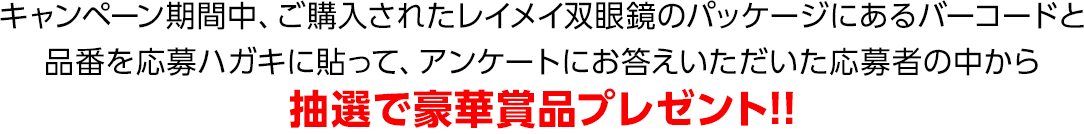 豪華賞品をプレゼント