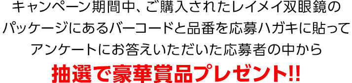 豪華賞品をプレゼント