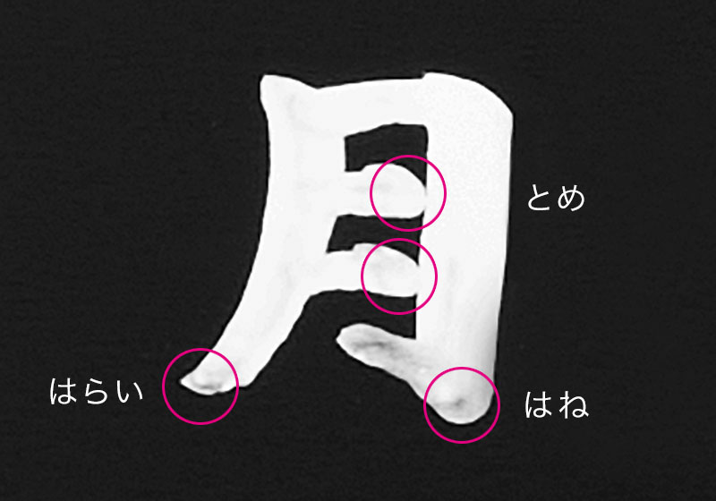 解説