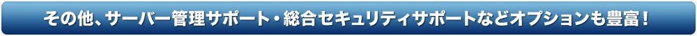 その他、サーバー管理サポート・総合セキュリティサポートなどオプションも豊富！