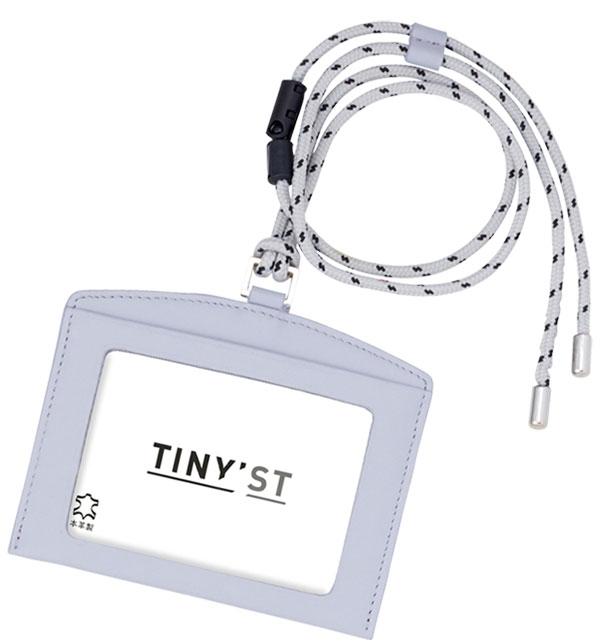 NP1080A