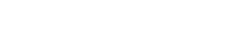 ツァイトベクター zeitVektor